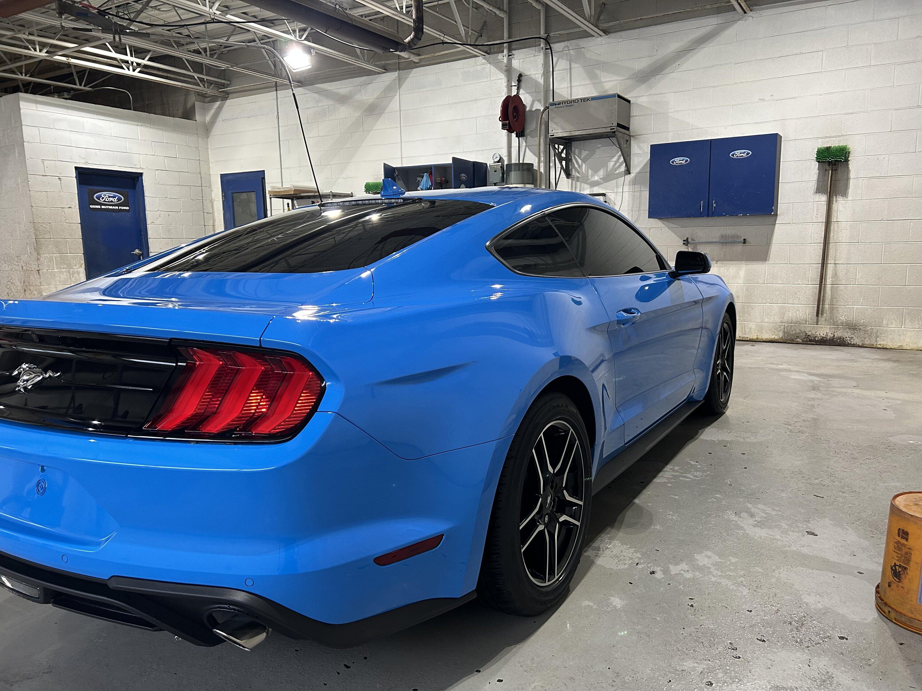 S650 Mustang S650 Mustang vs S550 Mustang side-by-side comparison pics thread 01ABC7B1-0ABE-46F4-AFD5-DAA92E7B00D3