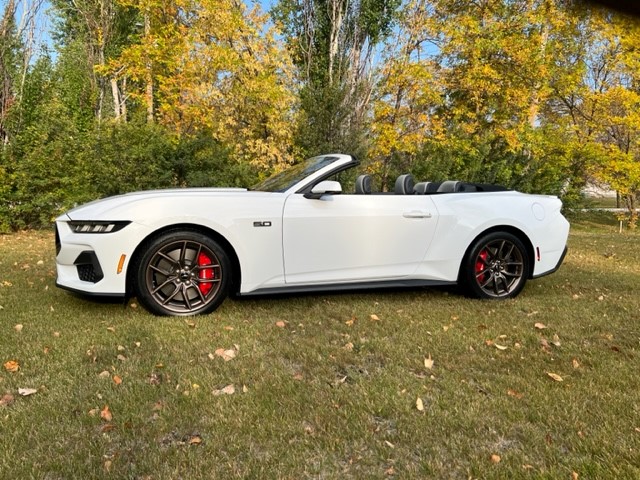 S650 Mustang White Ragtop arrived w/ topdown pics 1