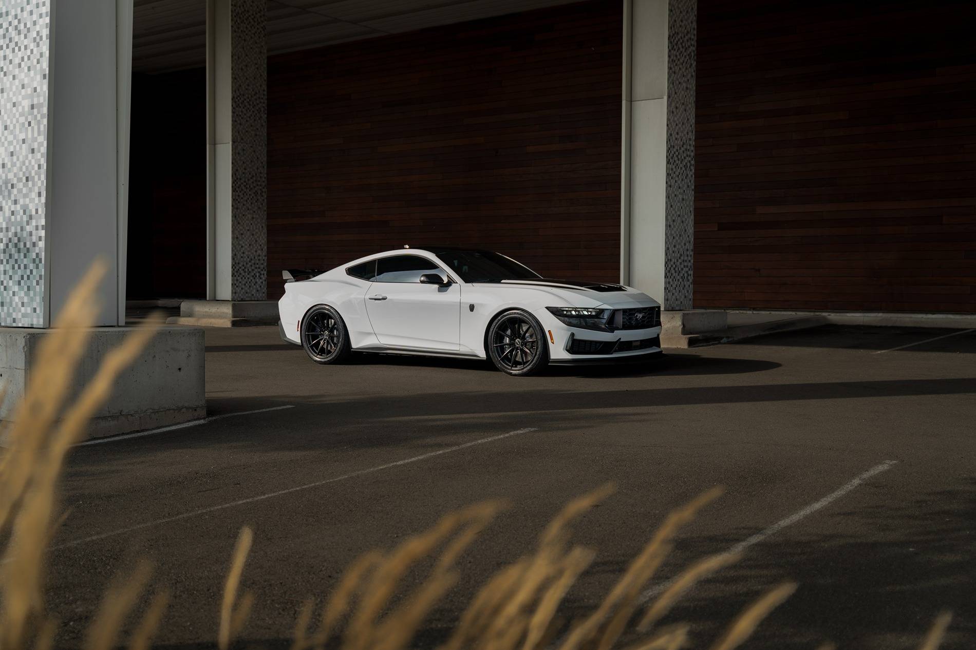 S650 Mustang 2024 Dark Horse Premium "Freyja" (Chassis # 7161) - My Build Journal 1