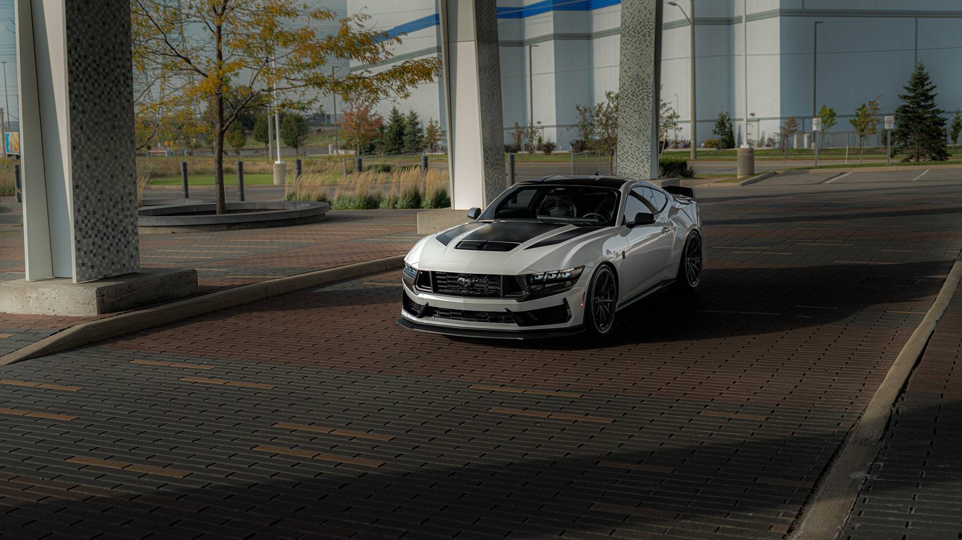S650 Mustang 2024 Dark Horse Premium "Freyja" (Chassis # 7161) - My Build Journal 10