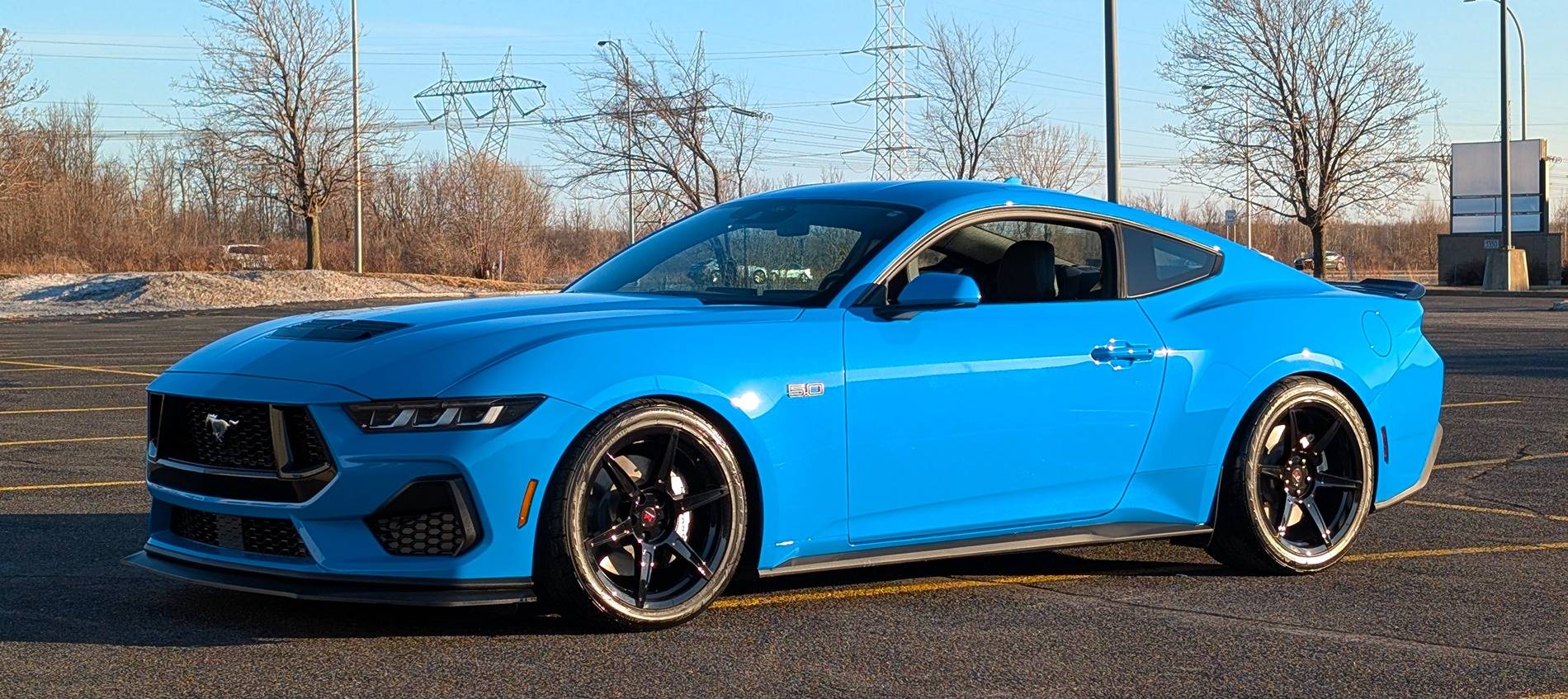S650 Mustang Official GRABBER BLUE Mustang S650 Thread 1000000487