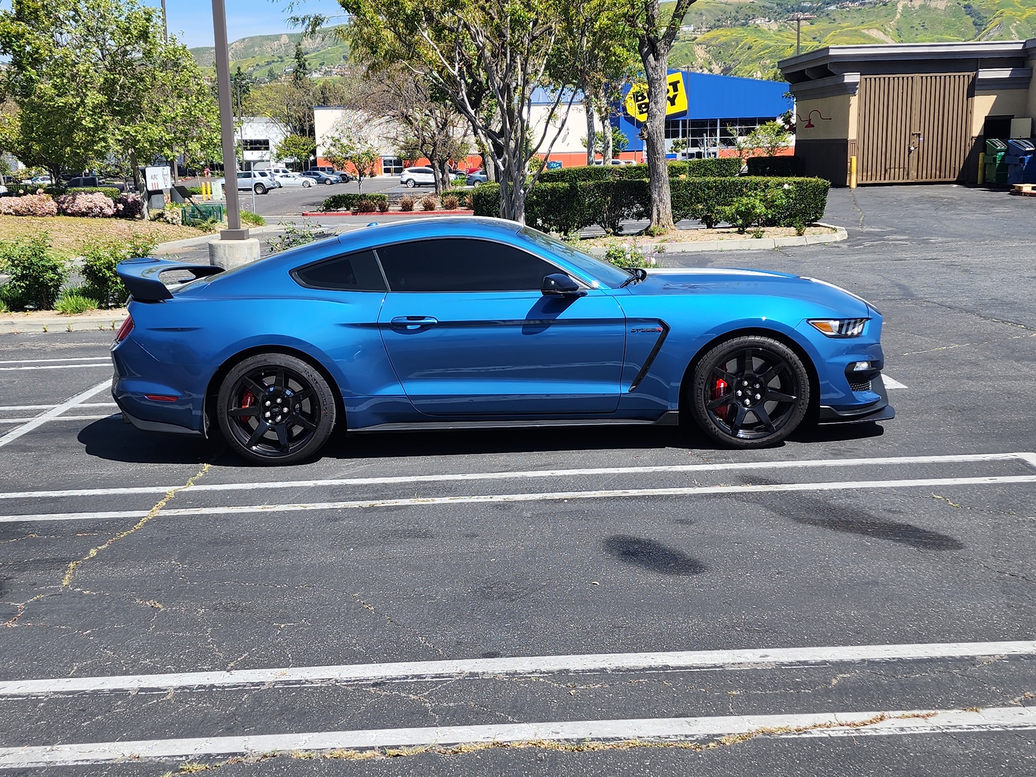 S650 Mustang 2024 mustang the problem with expectations 1000002193