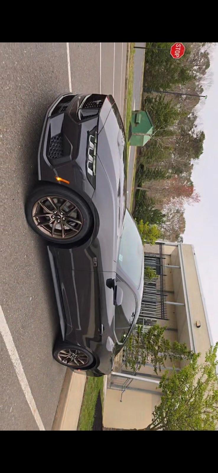 S650 Mustang New member 1000002733