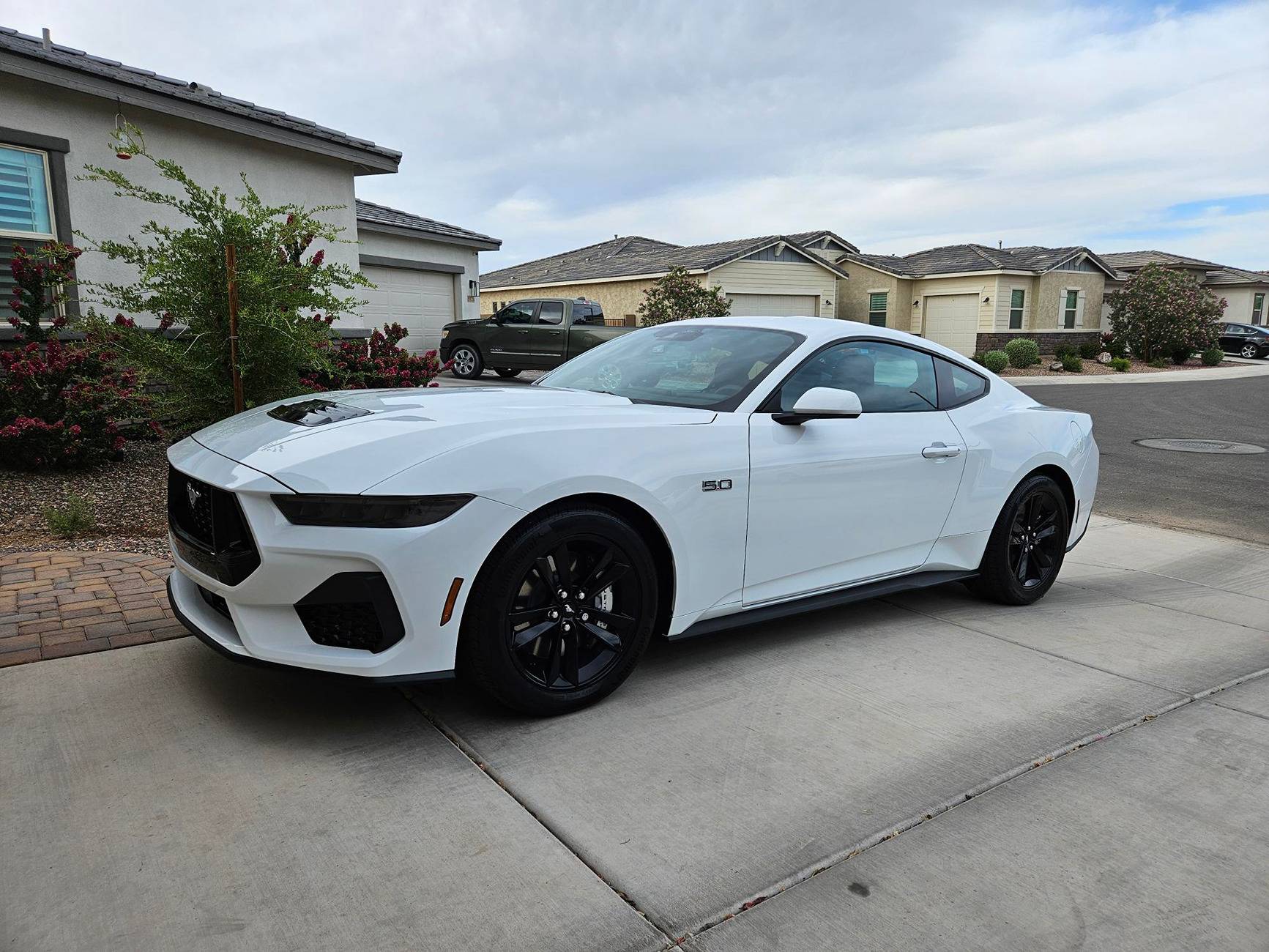S650 Mustang Old Man's Toys! 1000002976