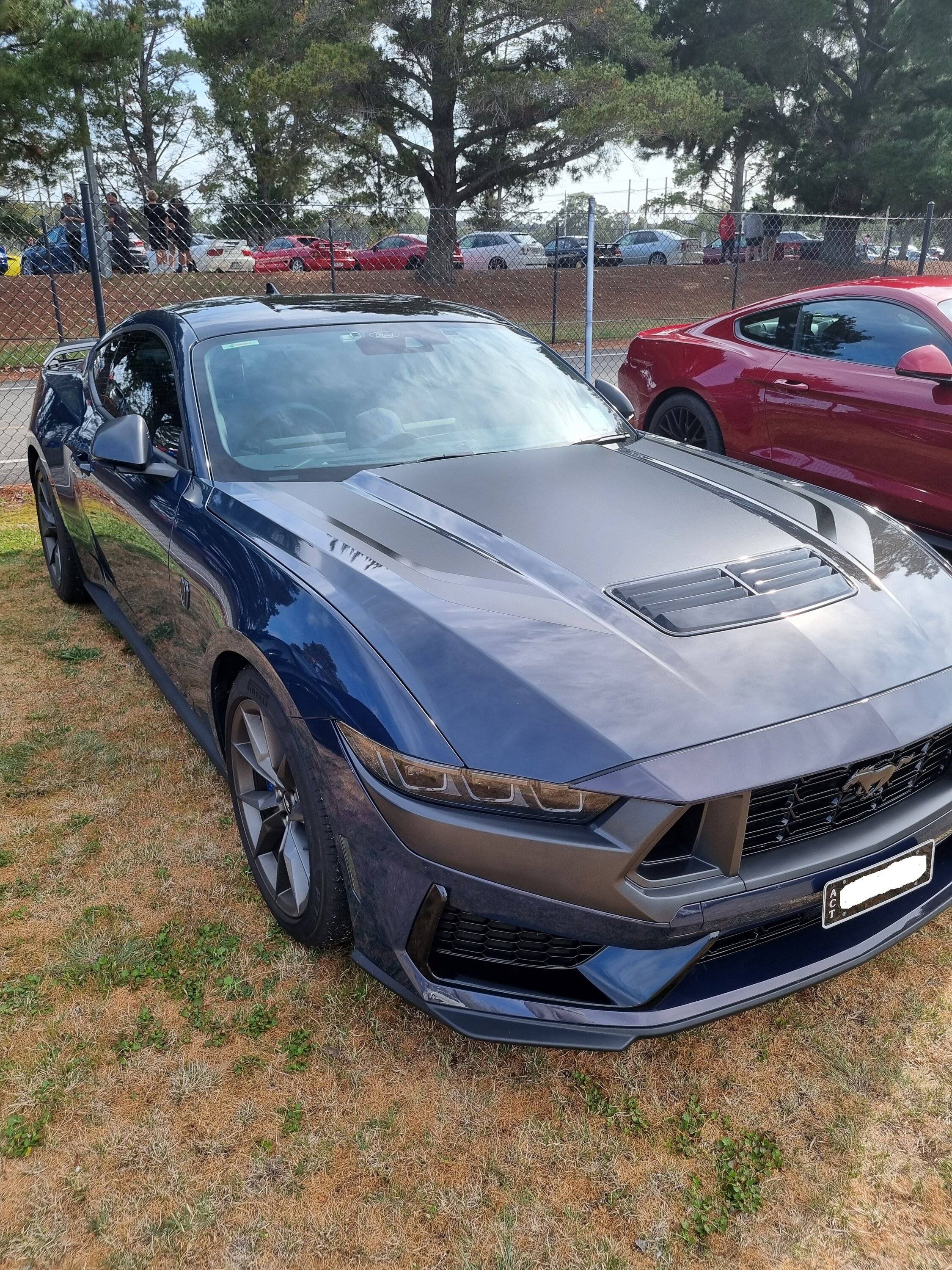 S650 Mustang Canberra Cars and Coffee 1000005318