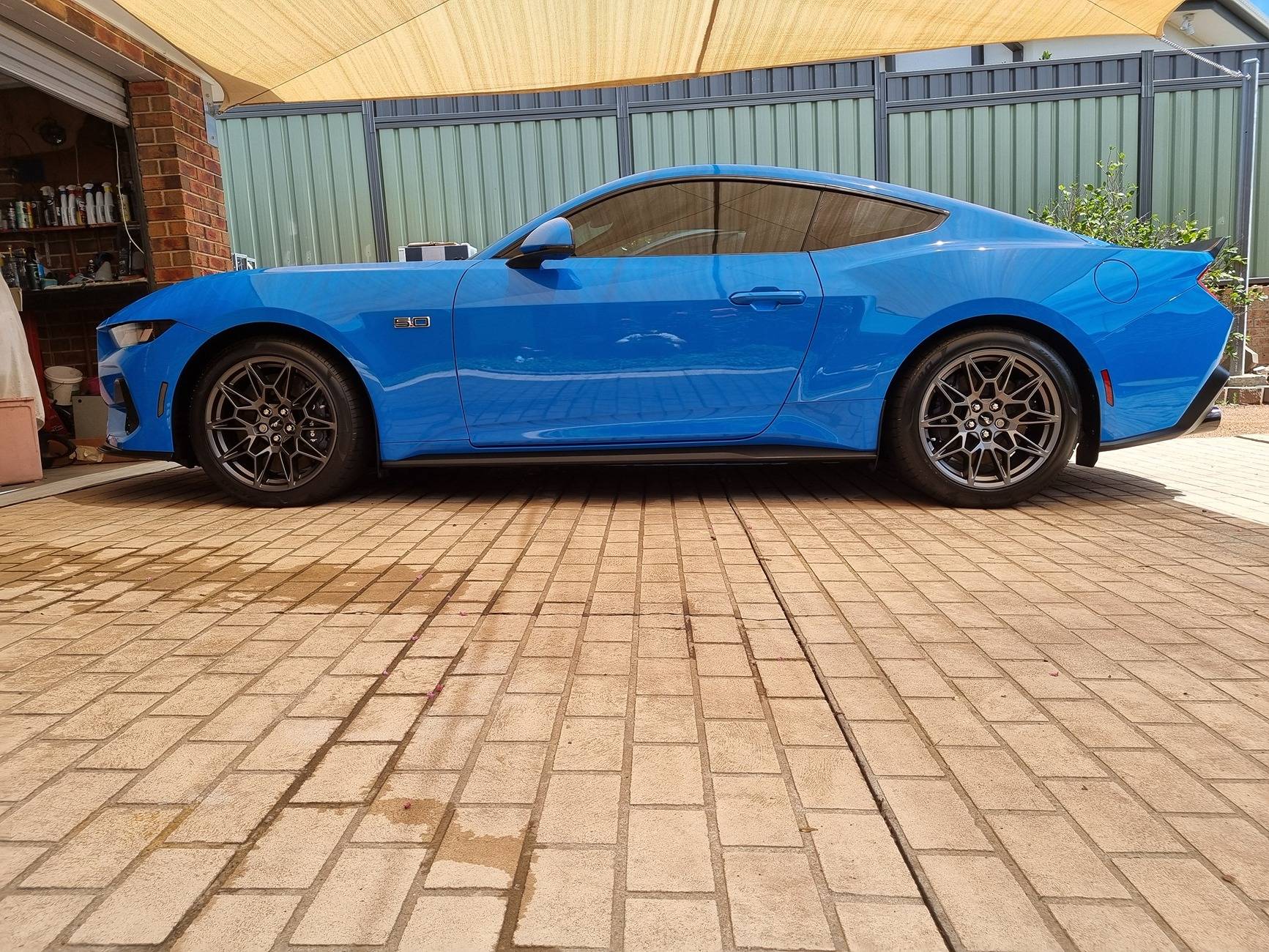 S650 Mustang DFB's Detailing Garage 1000006330