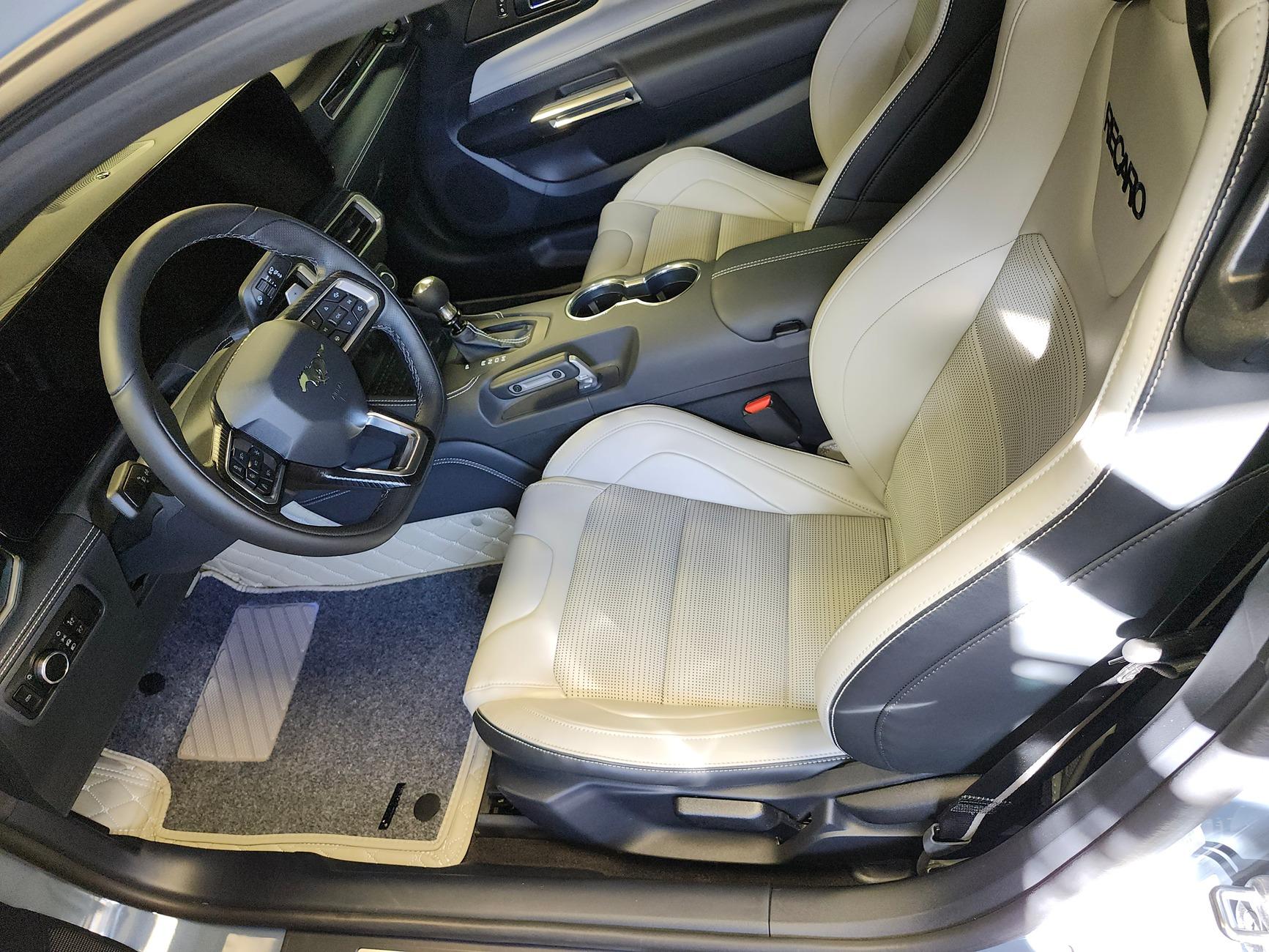 S650 Mustang Anyone making after market floor mats for S650? 1000008518