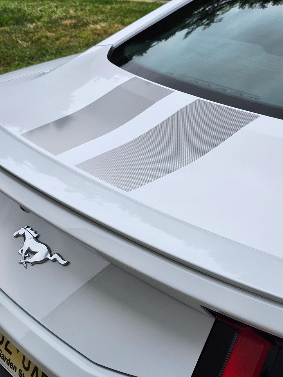 S650 Mustang Ordering Opacity Fade Stripe 1000009052