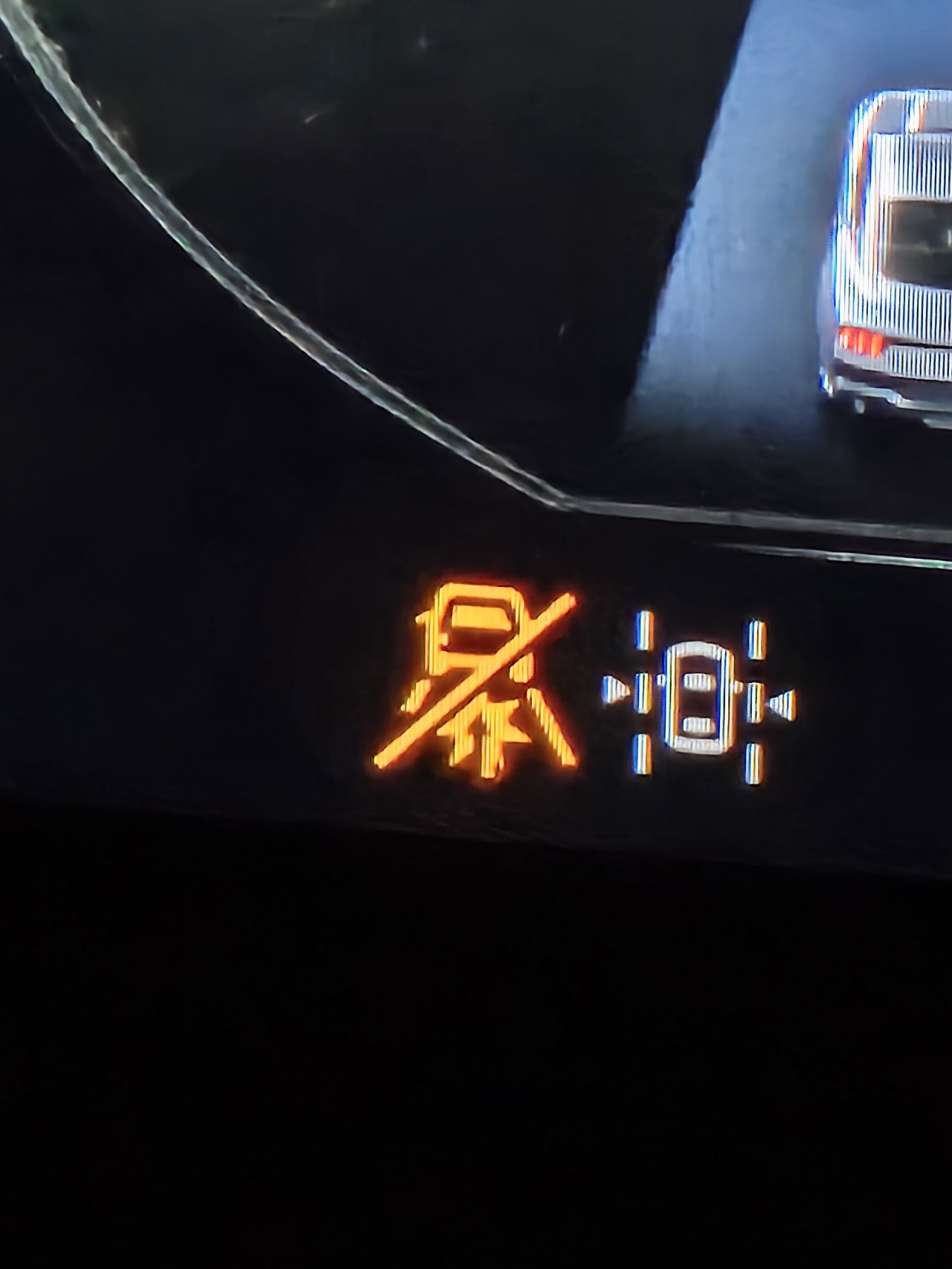 S650 Mustang What is this symbol? 1000011153