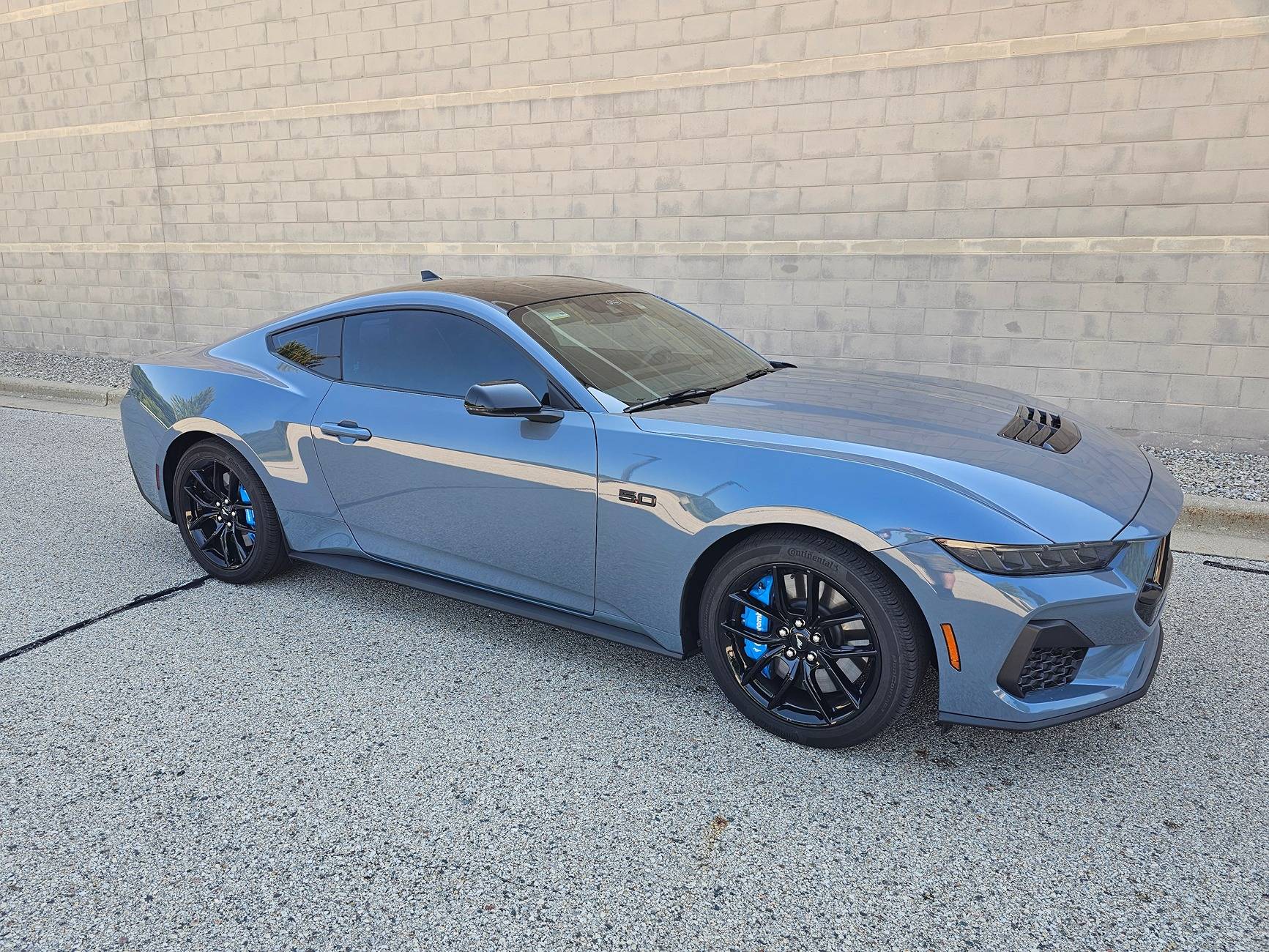 S650 Mustang Photos of my GT after PPF, Ceramic and Tint 1000019726