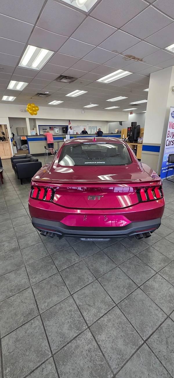 S650 Mustang Abilor & Maude - Build & Maintenance Journal 1000020922
