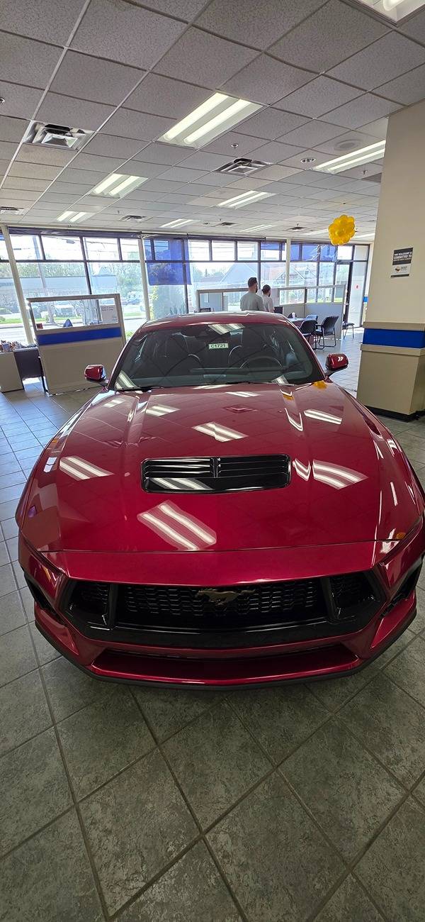 S650 Mustang From This to That S650 (Photos Edition) 1000020926