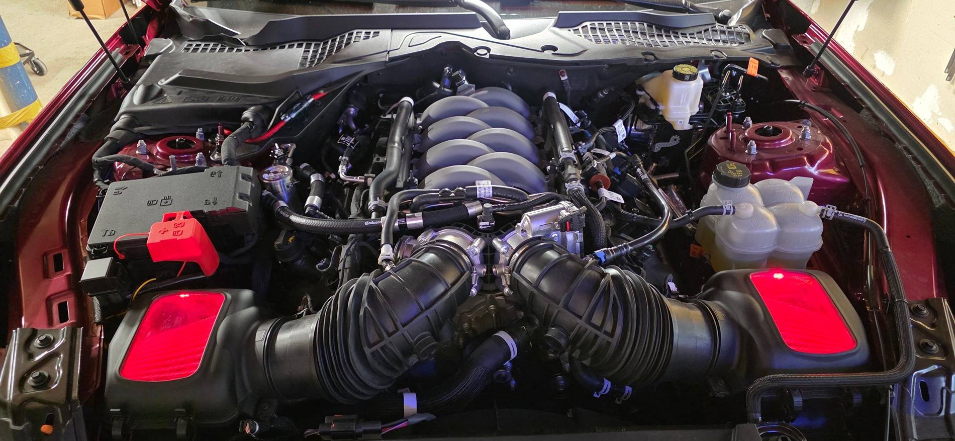 S650 Mustang Abilor & Maude - Build & Maintenance Journal 1000021395