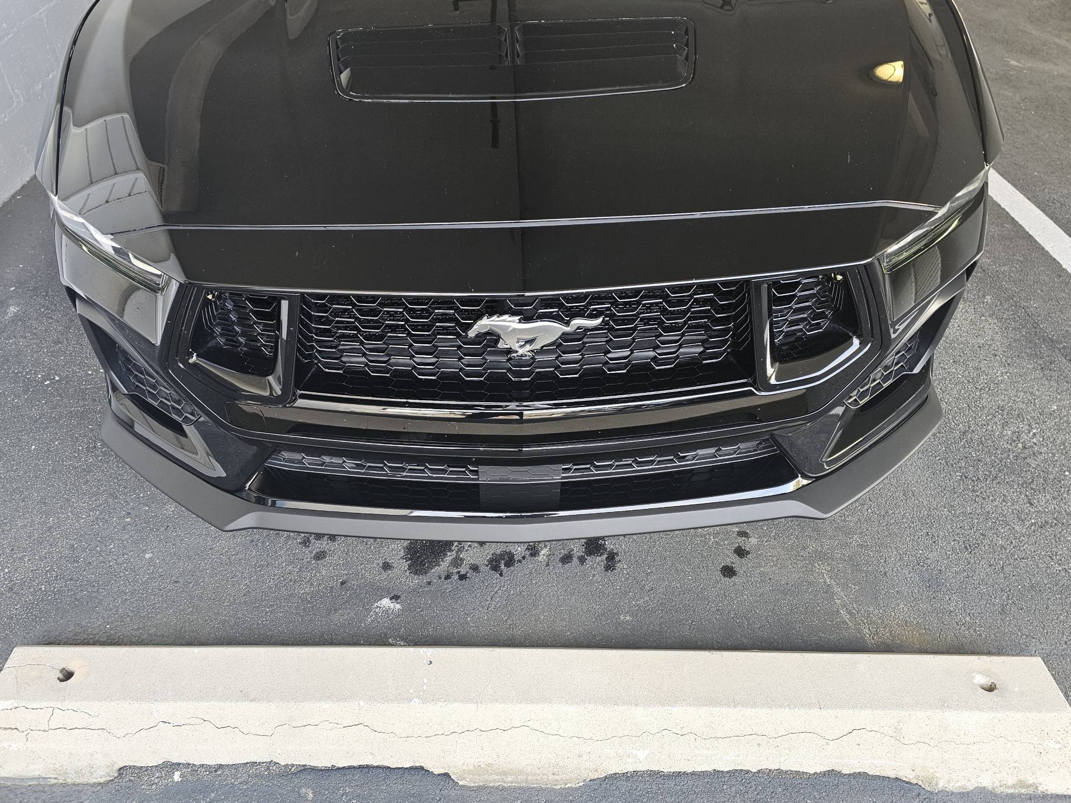 S650 Mustang Another satisfied Air Design Front Splitter customer! 1000030696