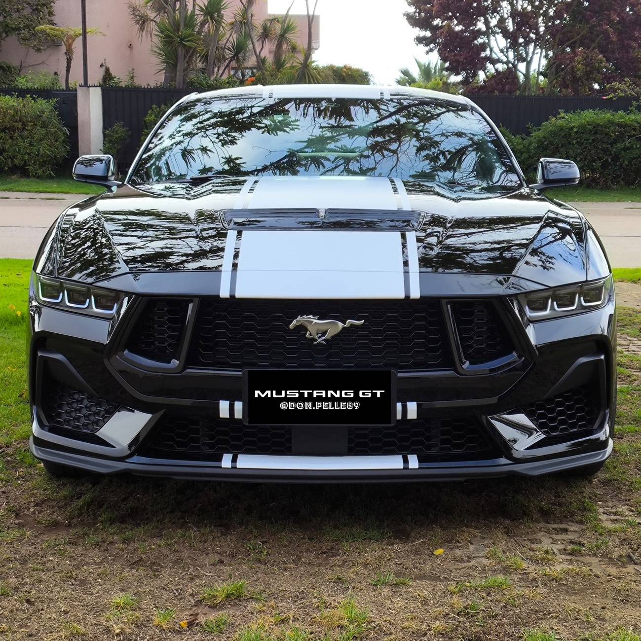 S650 Mustang Cool Daily Random S650 Mustang Pics -- Post Yours! 📸 1000078666