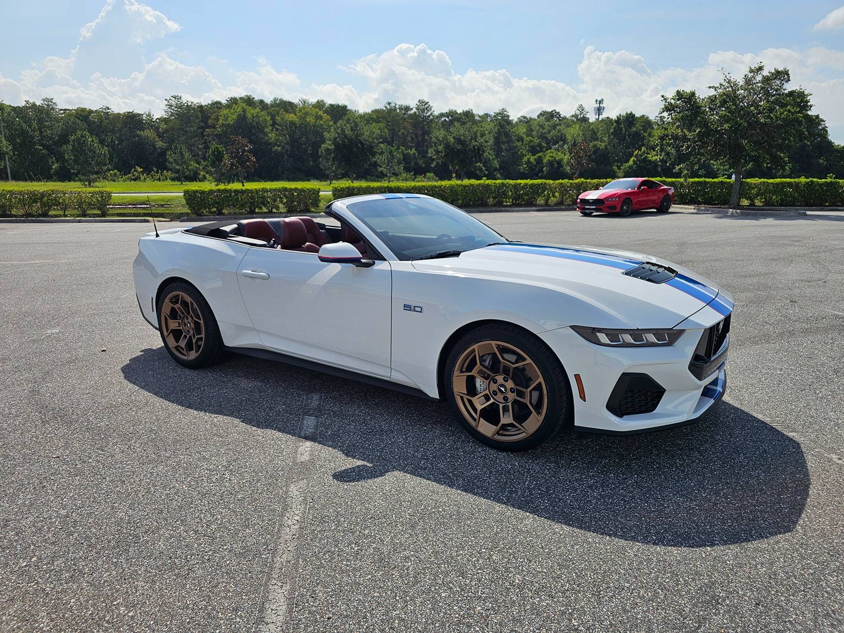 S650 Mustang Racing Stripes or Wrap! 1000080077