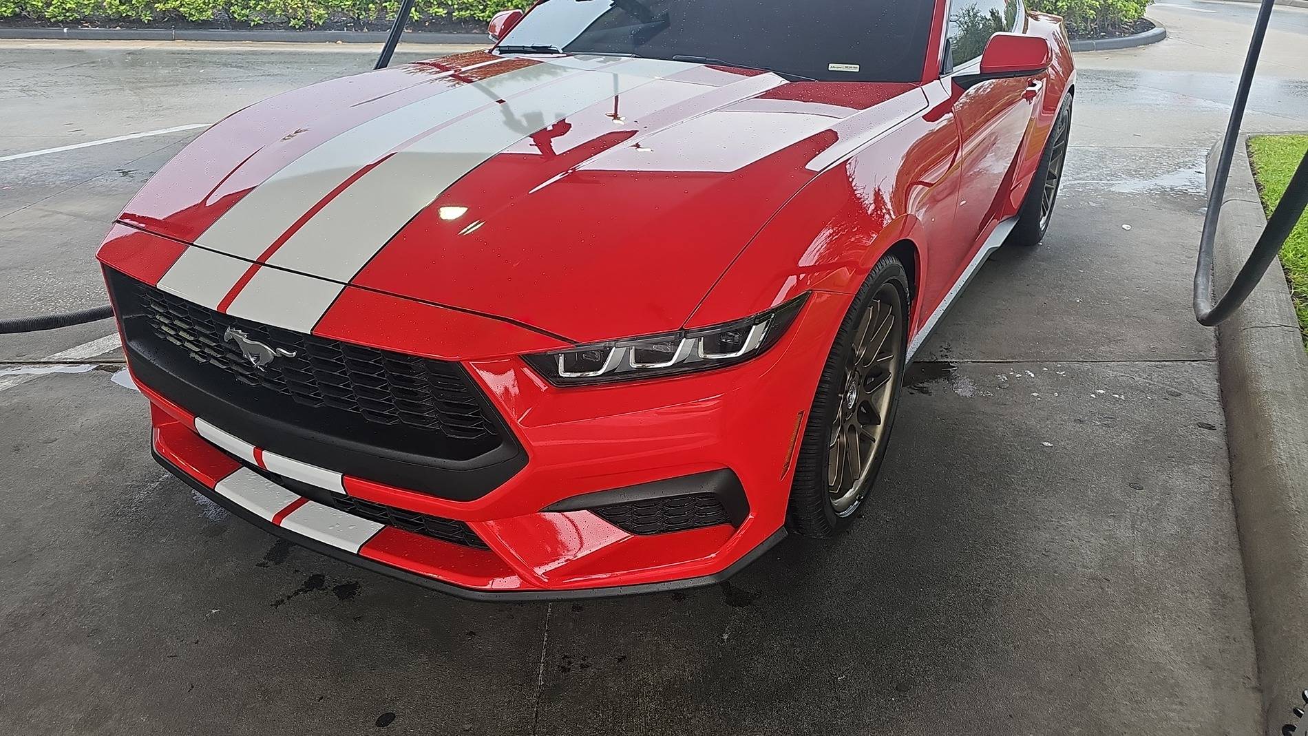 S650 Mustang Racing Stripes or Wrap! 1000080147