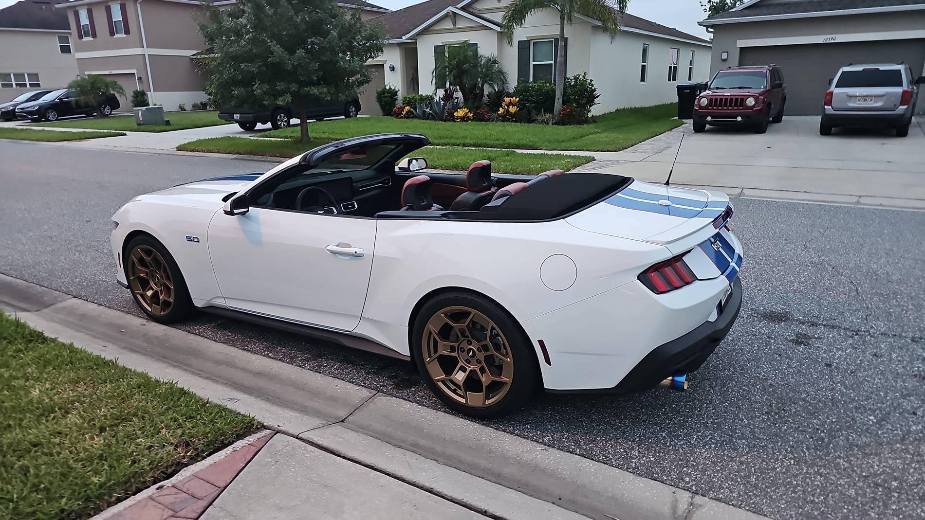 S650 Mustang Racing Stripes or Wrap! 1000080225
