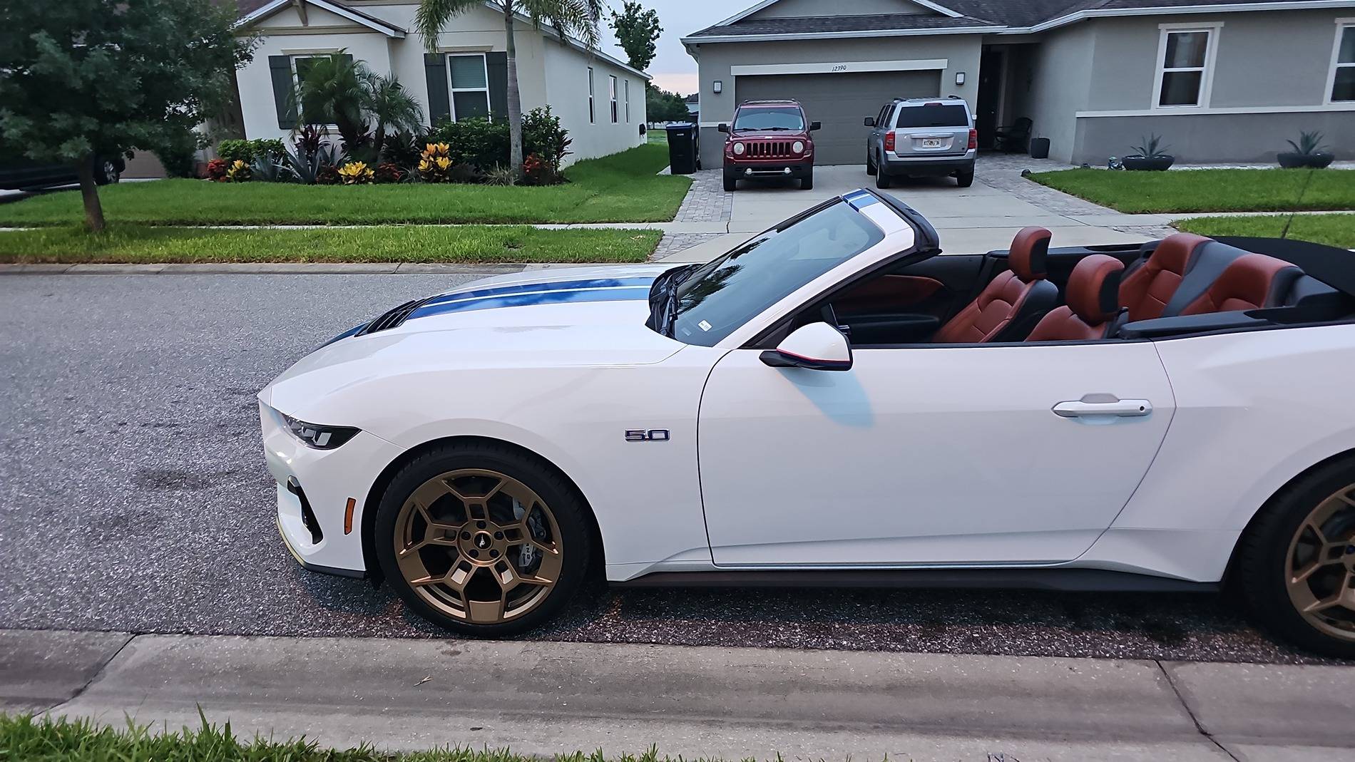 S650 Mustang Racing Stripes or Wrap! 1000080228
