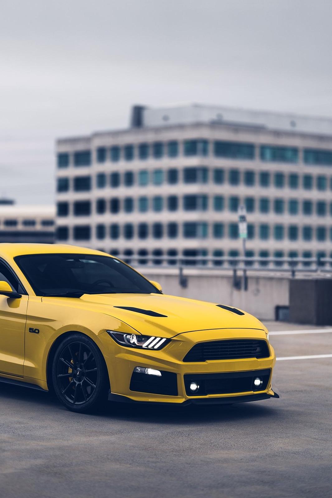 S650 Mustang Roush - You there? 117557809_10159224469988488_1547520812870026592_n