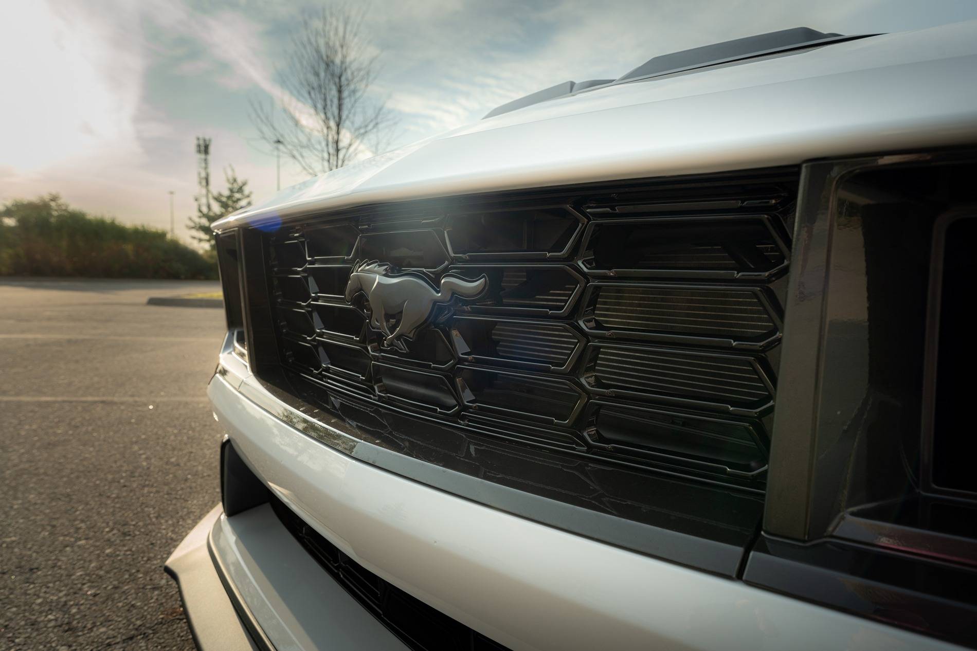 S650 Mustang Official OXFORD WHITE Mustang S650 Thread 14