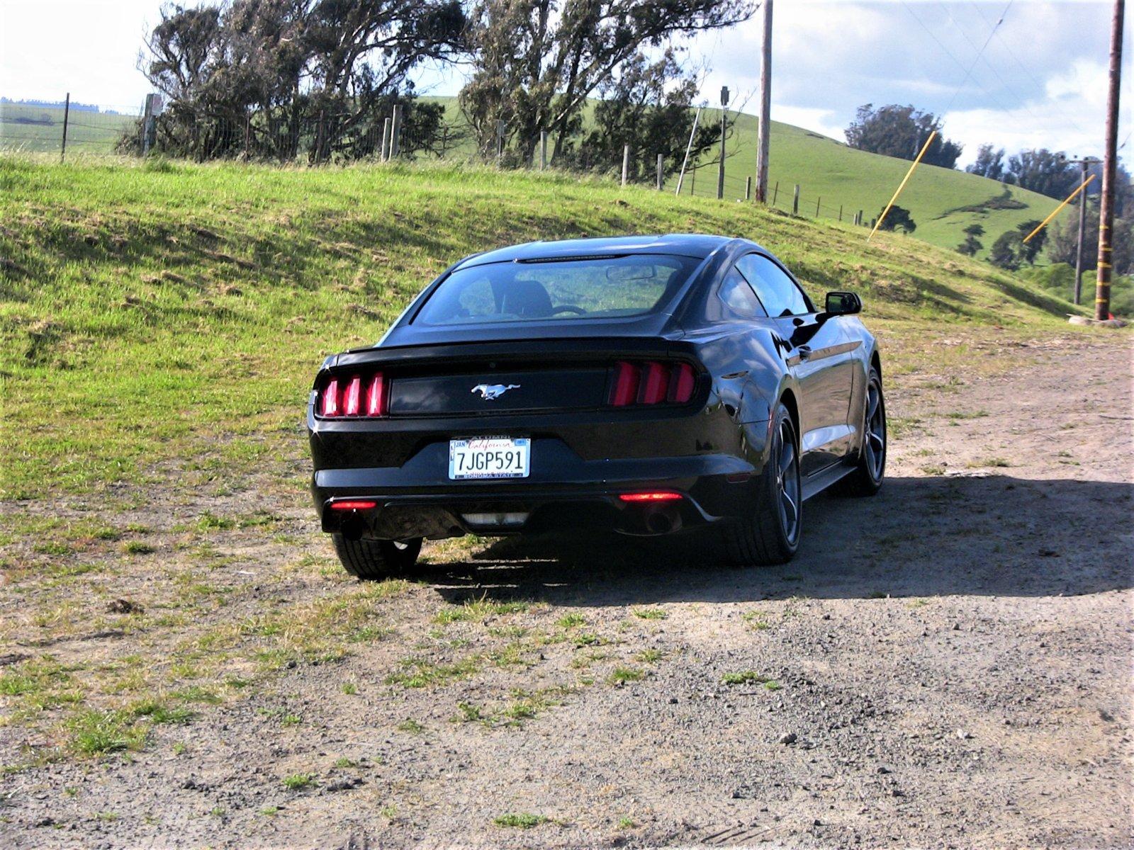 S650 Mustang I'm testing 15_mustan