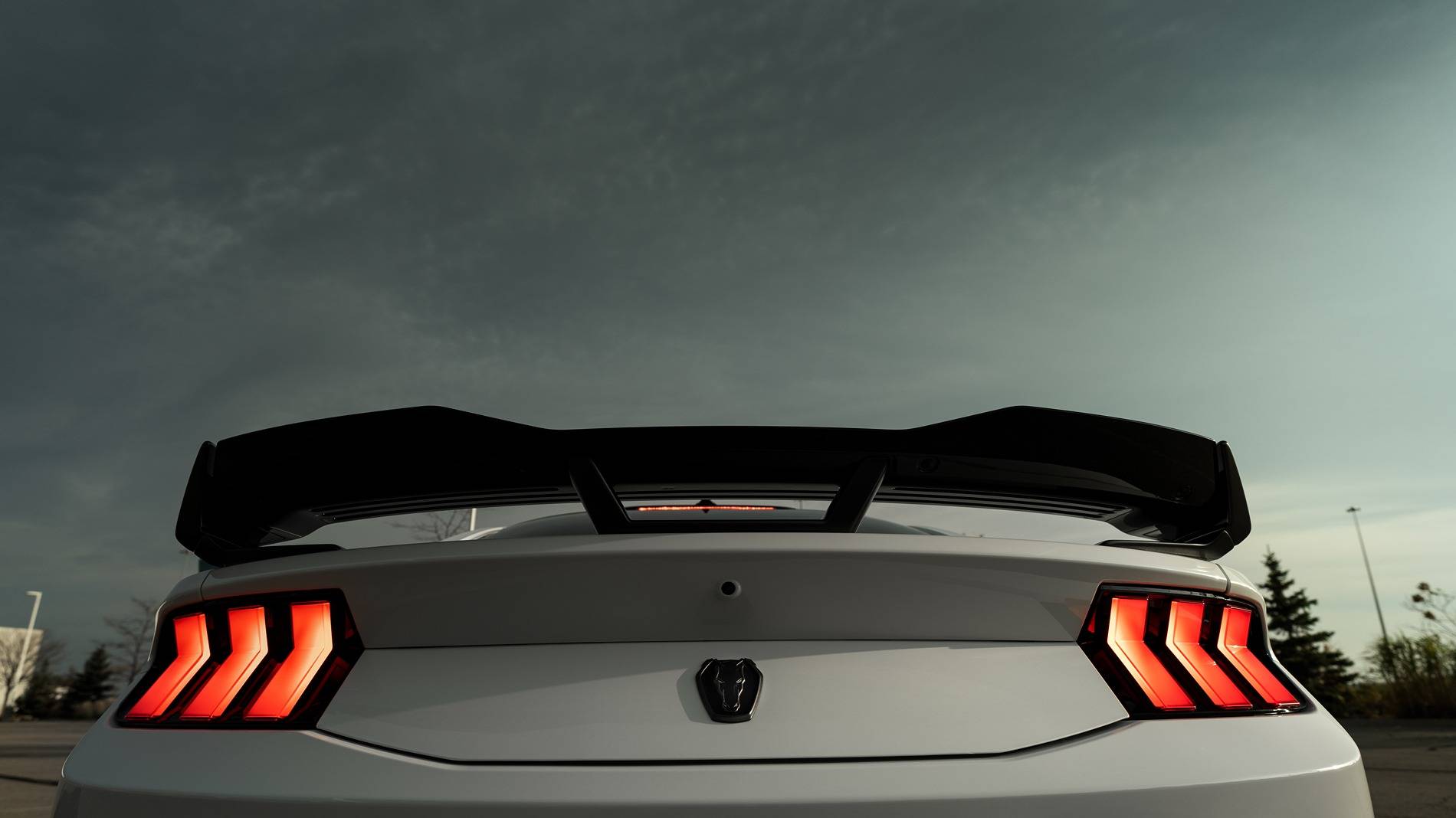 S650 Mustang Official OXFORD WHITE Mustang S650 Thread 16