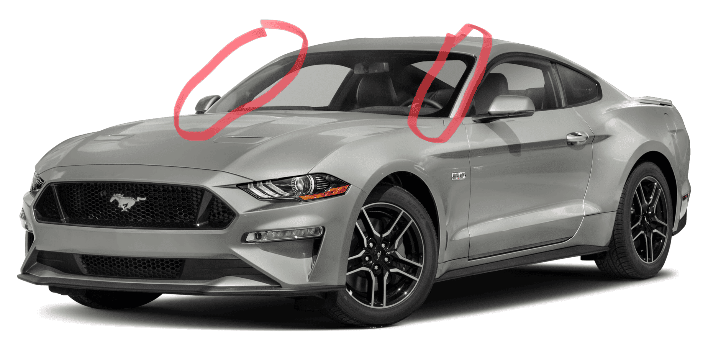S650 Mustang 2024 Mustang EcoBoost (S650) First Sighting! 1644997394312