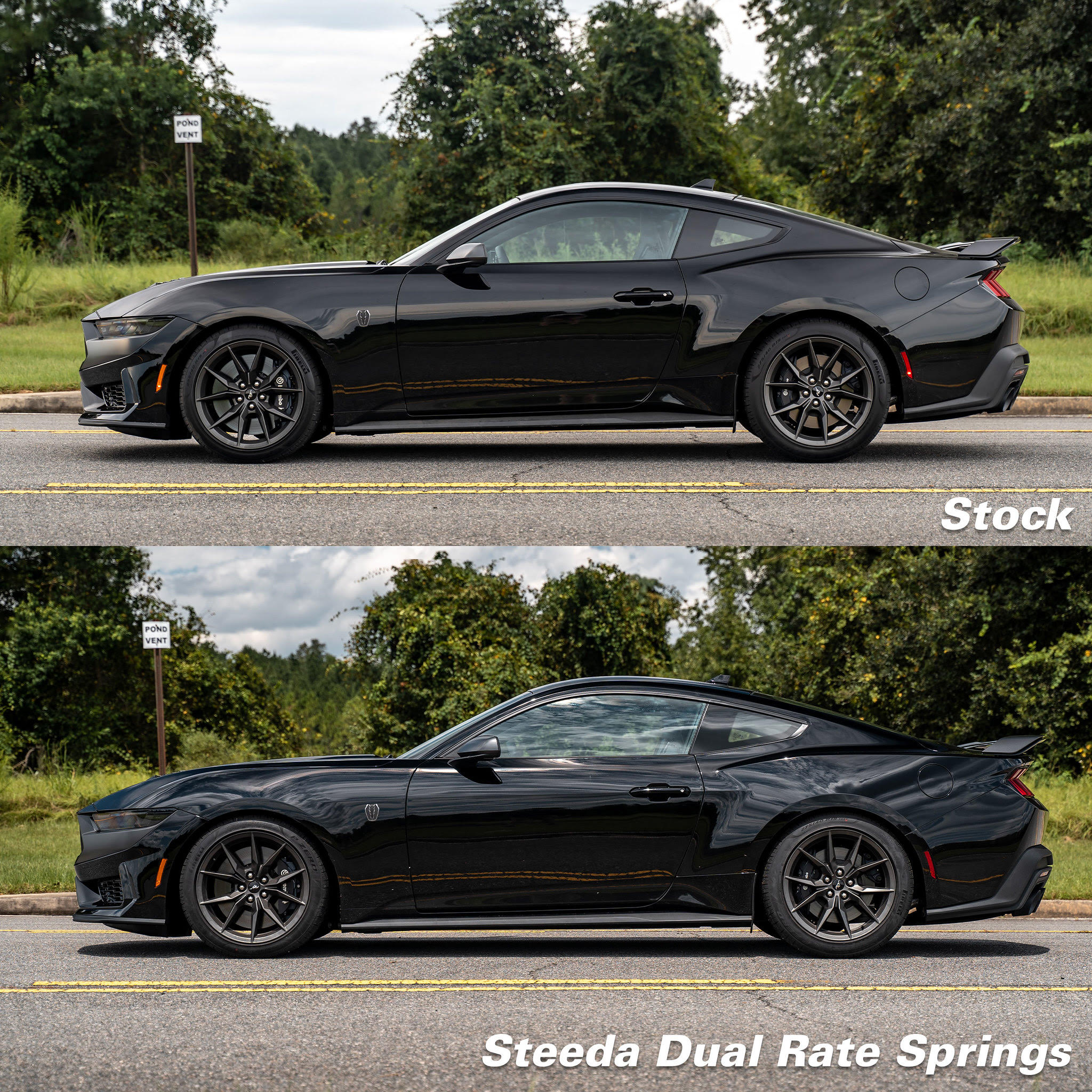 S650 Mustang Steeda Lowered - Sport / Minimum / Dual Rate Springs! 1695773483076