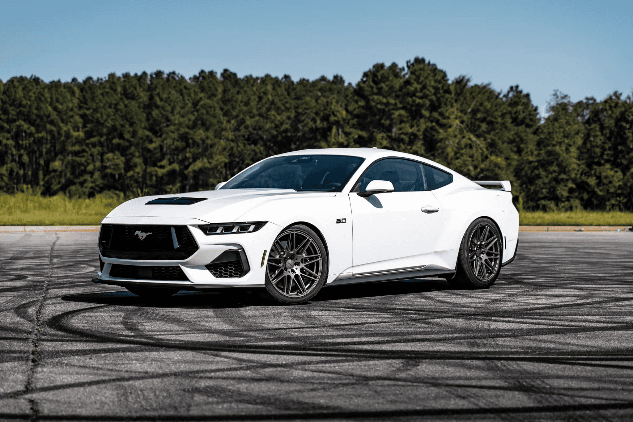 S650 Mustang Steeda Lowered - Sport / Minimum / Dual Rate Springs! 1697066502288