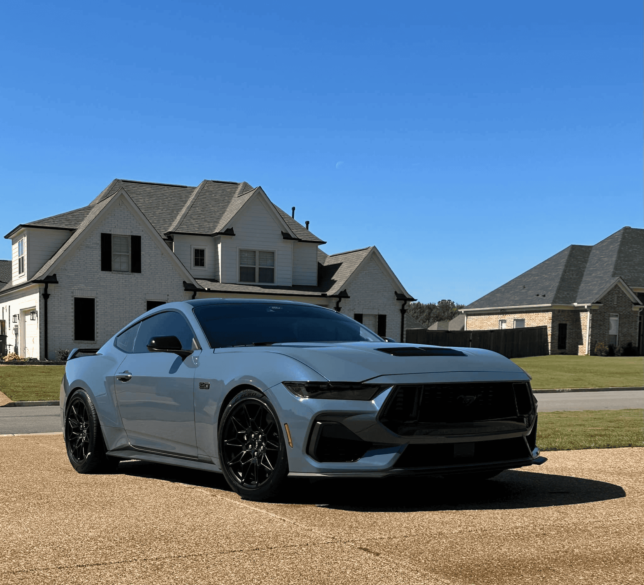 S650 Mustang Steeda Lowered - Sport / Minimum / Dual Rate Springs! 1697066518070
