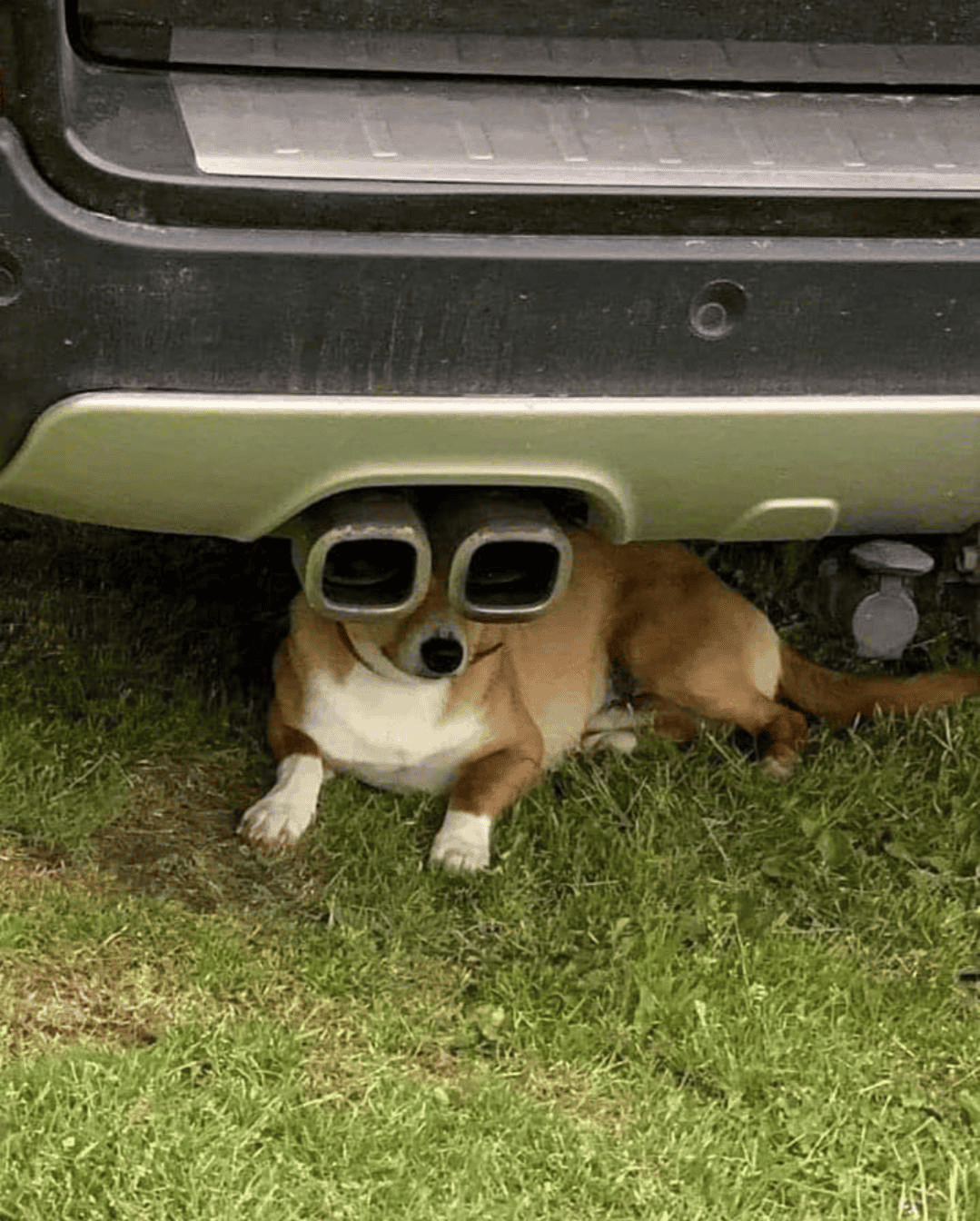 S650 Mustang 2024 GT Active Exhaust = Yea or Nay? 1707316375536