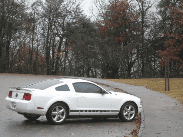 S650 Mustang Official GRABBER BLUE Mustang S650 Thread 1714787821061-3i