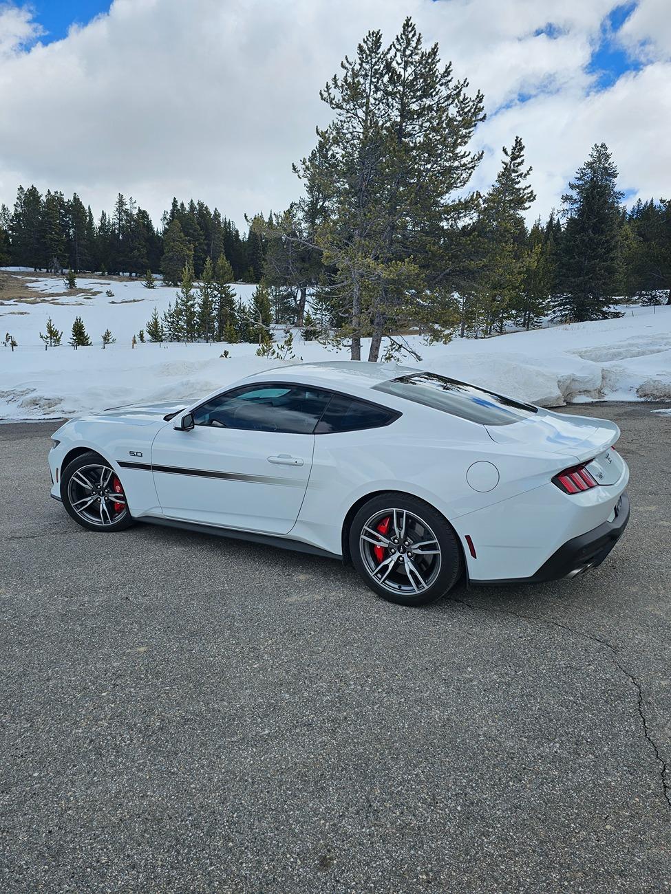 S650 Mustang Share your Fav S650 shot 1721943301791-1q