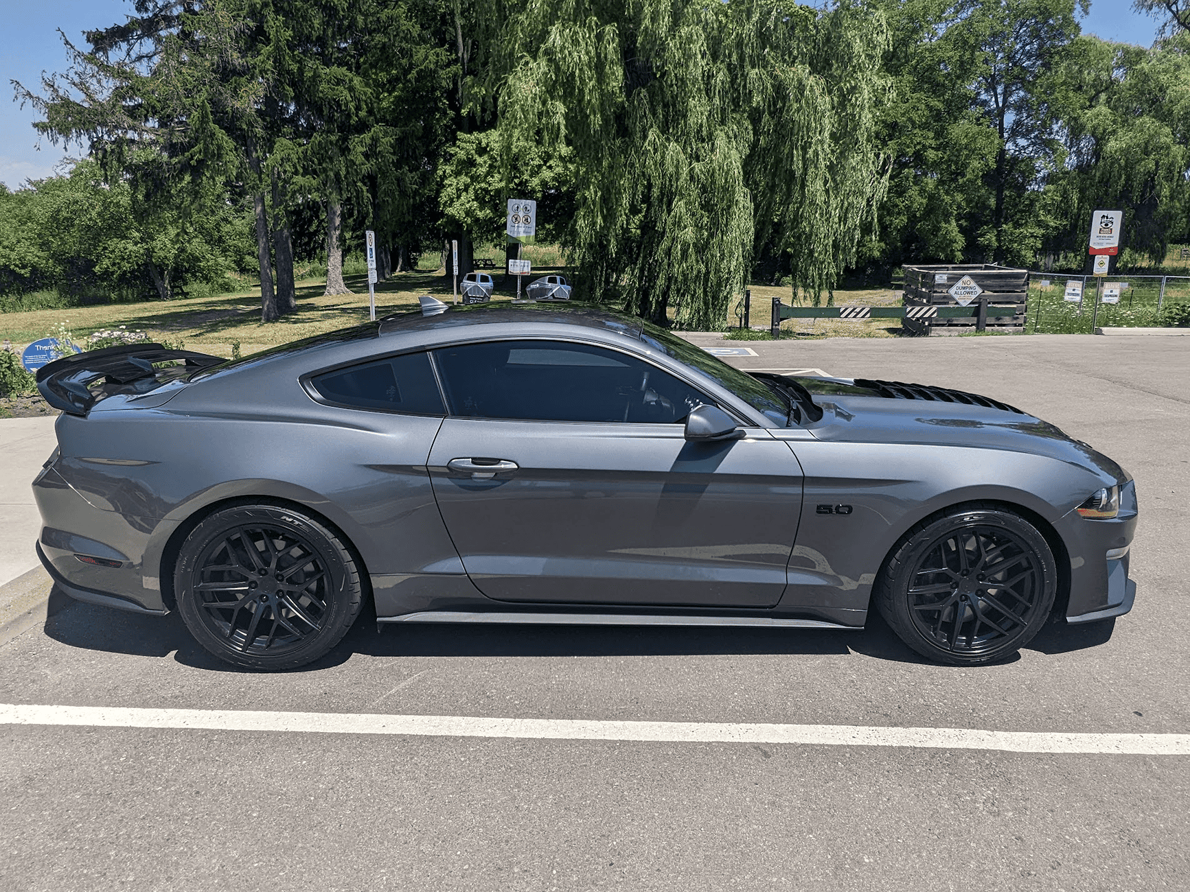 S650 Mustang 2024 Dark Horse Premium "Freyja" (Chassis # 7161) - My Build Journal 1724084361095-a