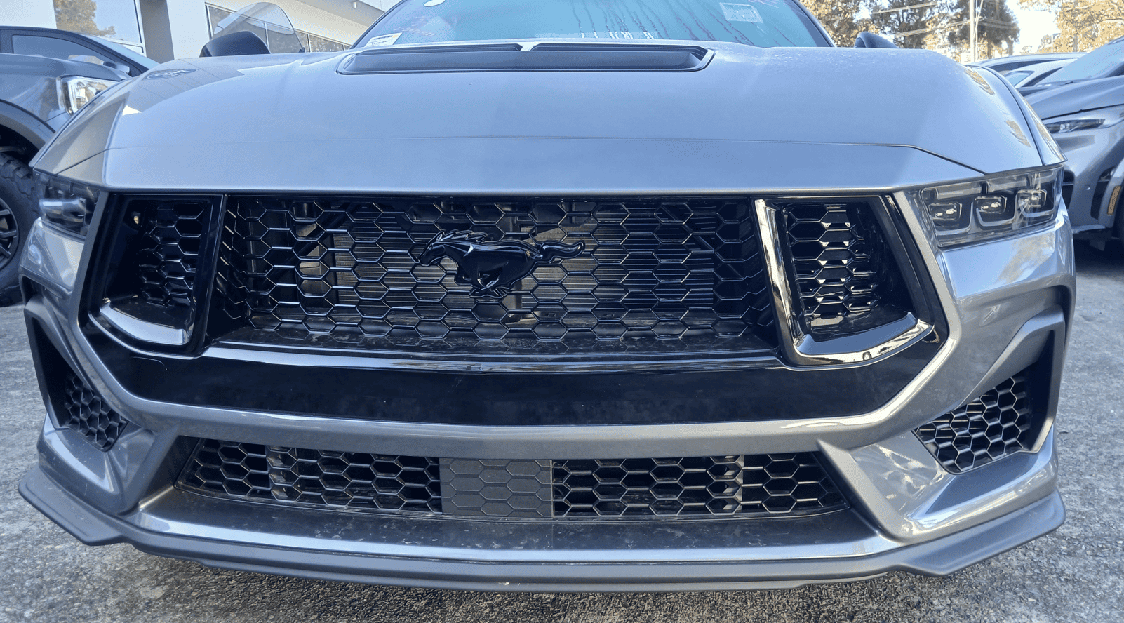 S650 Mustang Aussie Number Plate Holders/Frames 1725069820119-q8