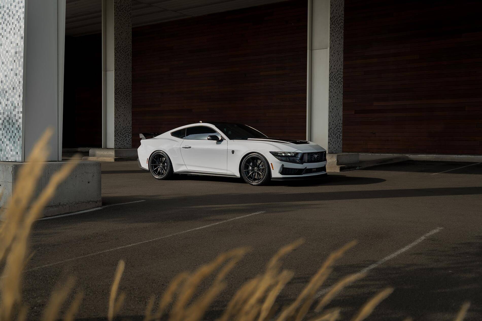 S650 Mustang What did you do to your S650 Mustang today?? 🙋🏻‍♂️ 1743734036604-7b