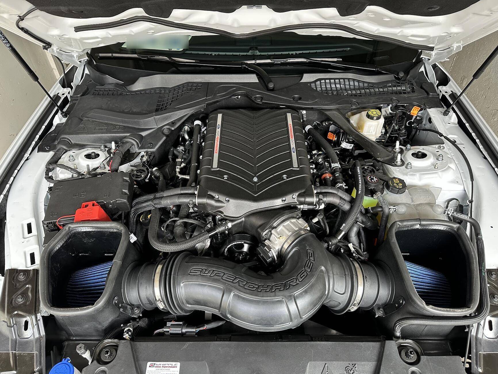S650 Mustang 2024 Dark Horse Premium "Freyja" (Chassis # 7161) - My Build Journal 1745971294921-u8