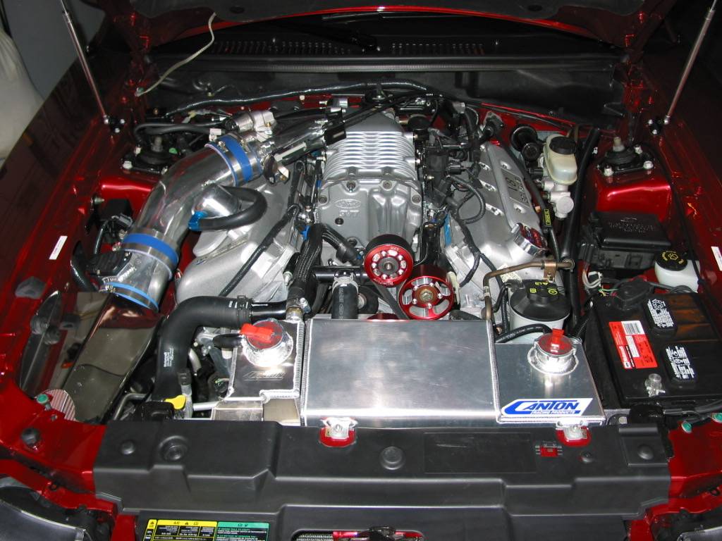 S650 Mustang Who's trying to race you? 1746666024900-jd
