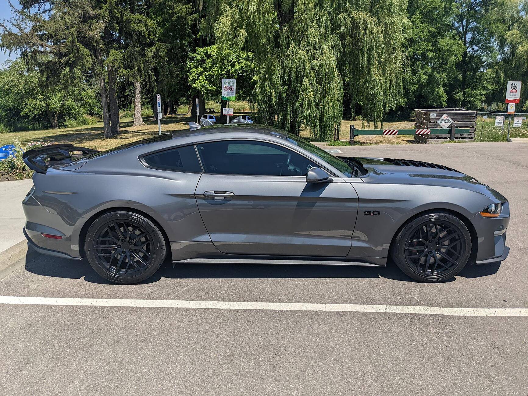 S650 Mustang How many Mustangs have owned? 1749054607738-mz