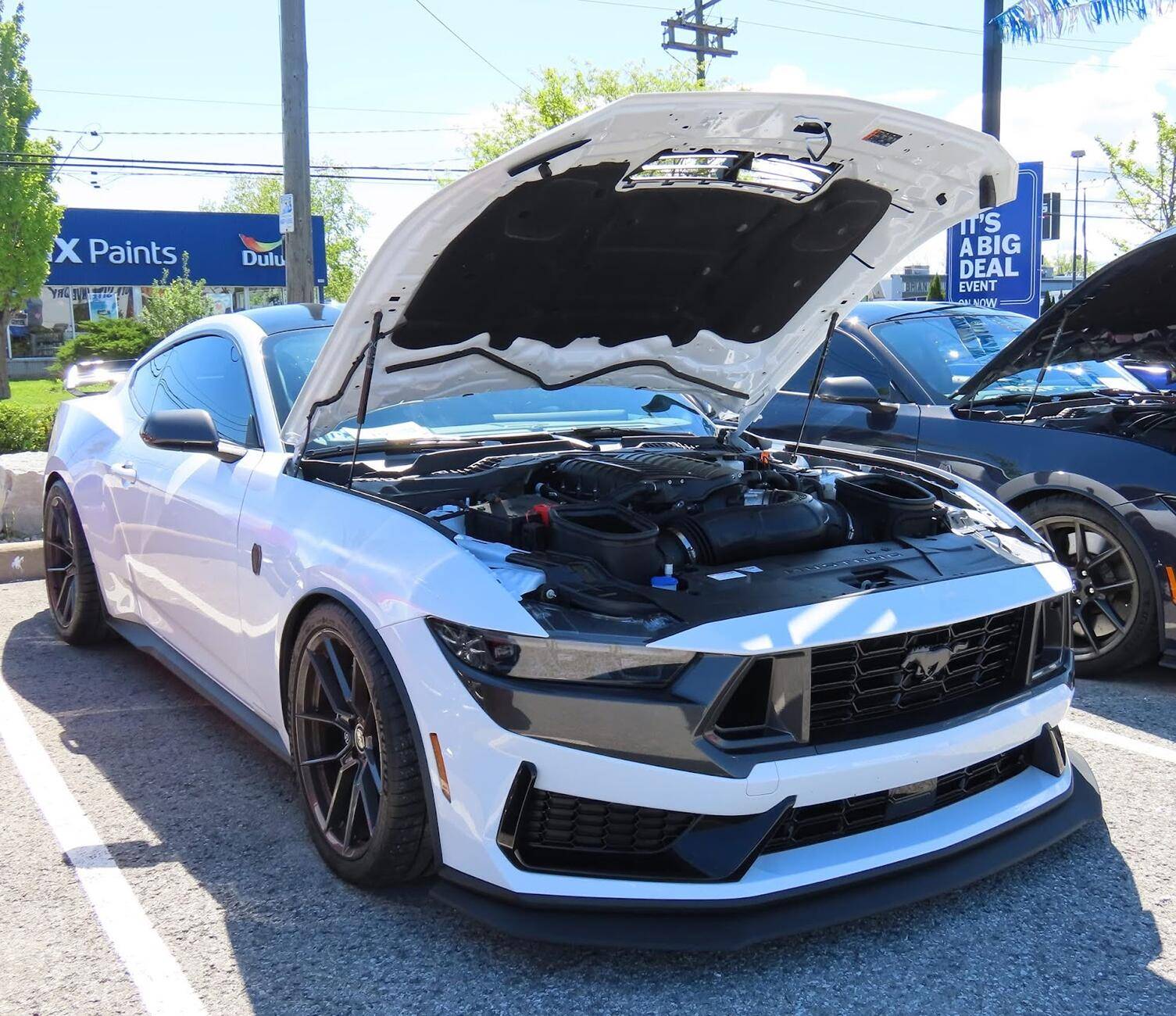 S650 Mustang How many Mustangs have owned? 1749054645451-ks