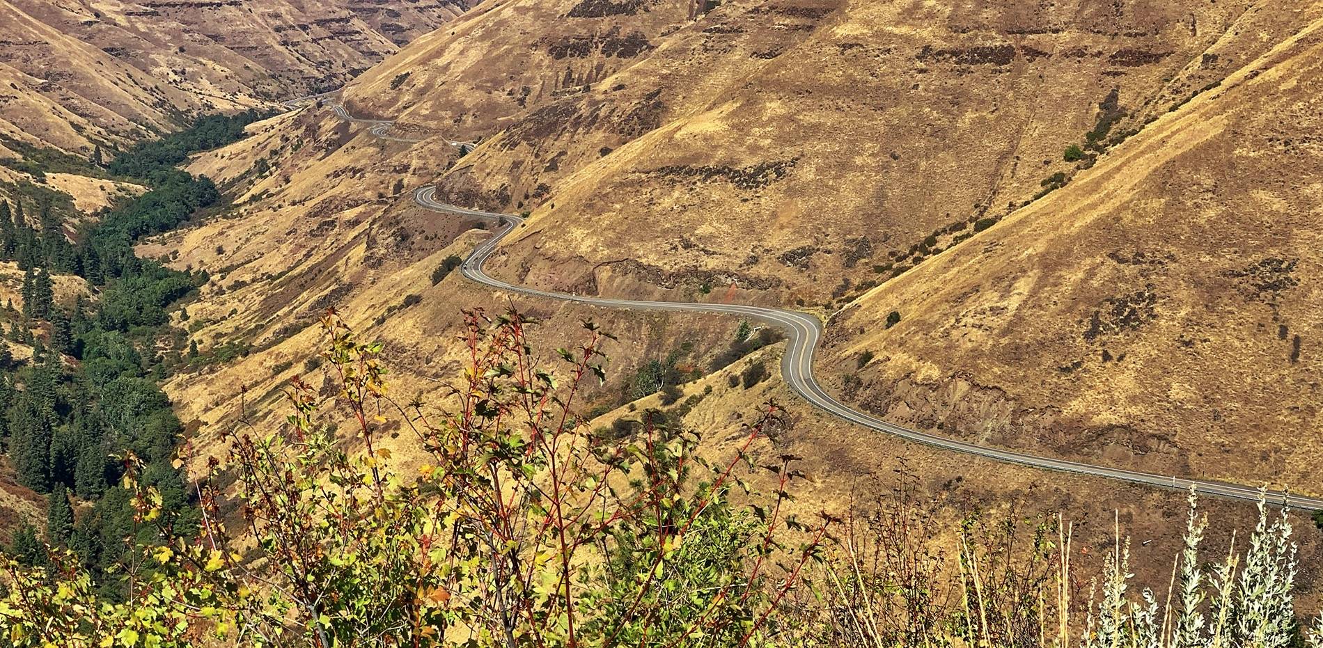 S650 Mustang If you live in the Northwest US, you owe it to yourself to take this road at least once! Rattlesnake Grade for the win over the Tail of the Dragon! 1750539021428-o