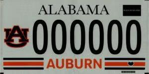 S650 Mustang Trying to choose a license plate. 1751515333290-5