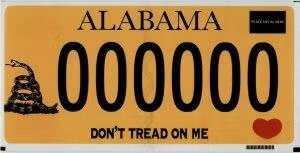 S650 Mustang Trying to choose a license plate. 1751515424183-el
