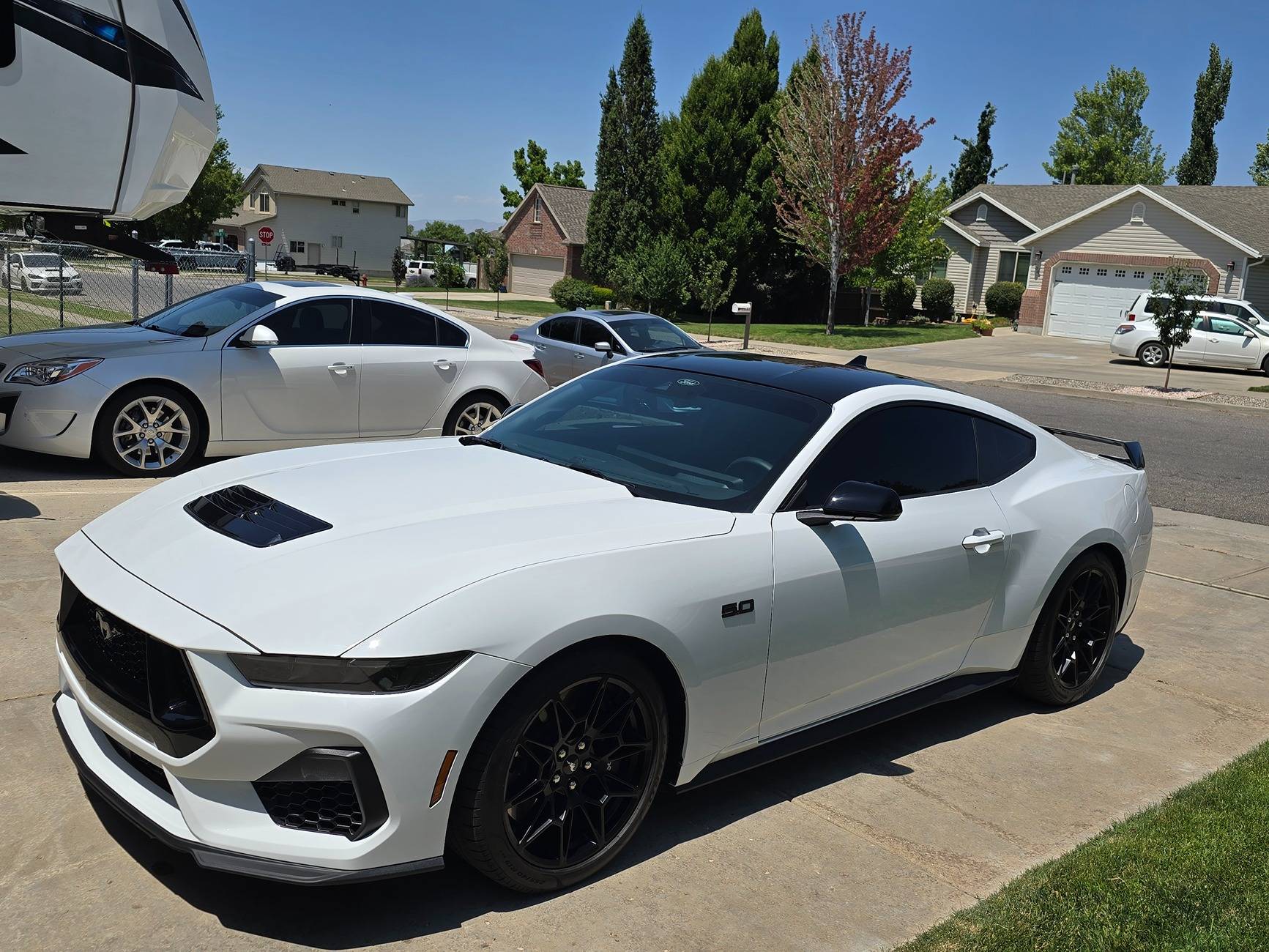 S650 Mustang Cool Daily Random S650 Mustang Pics -- Post Yours! 📸 1751548105996-j6
