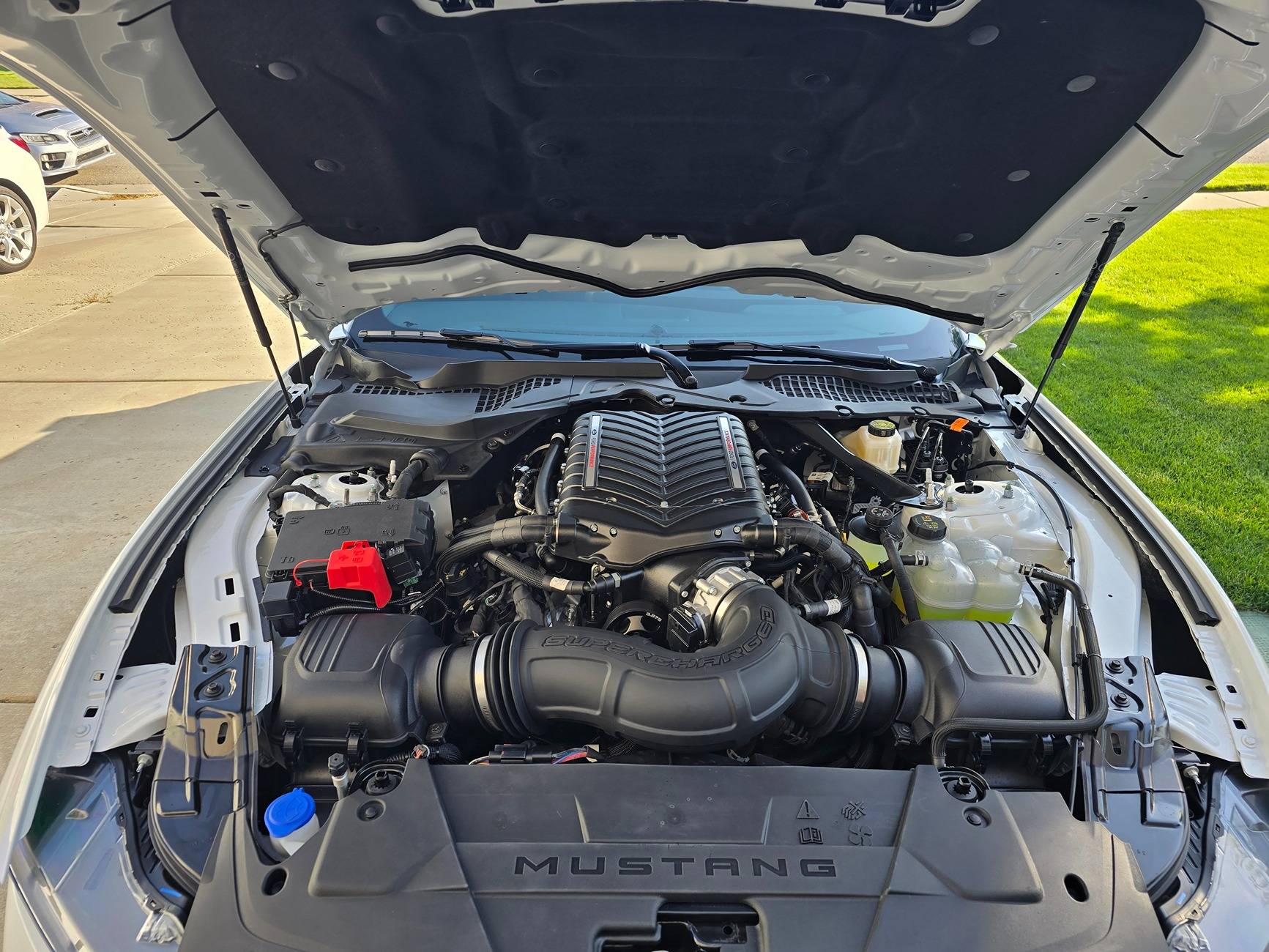 S650 Mustang Cool Daily Random S650 Mustang Pics -- Post Yours! 📸 1751548135213-xl