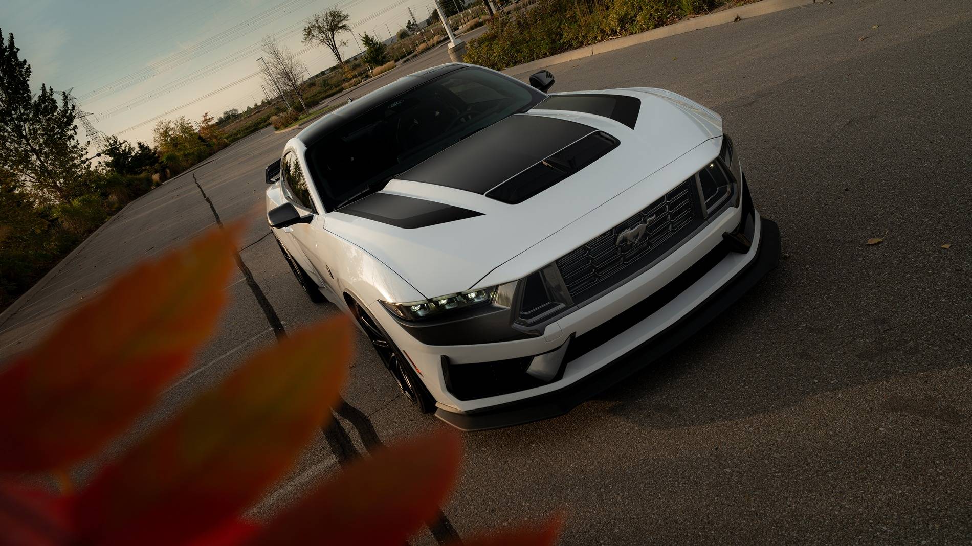 S650 Mustang Official OXFORD WHITE Mustang S650 Thread 19