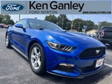 S650 Mustang More New Mustangs -1907397665