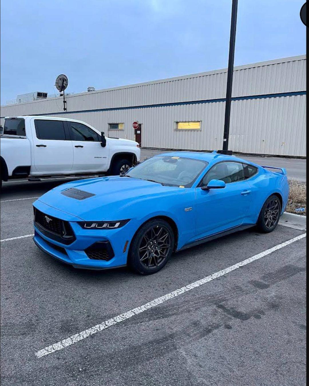 S650 Mustang S650 Mustang vs S550 Mustang side-by-side comparison pics thread 1B950F1E-C4CC-4C5C-A756-7B0660678E82