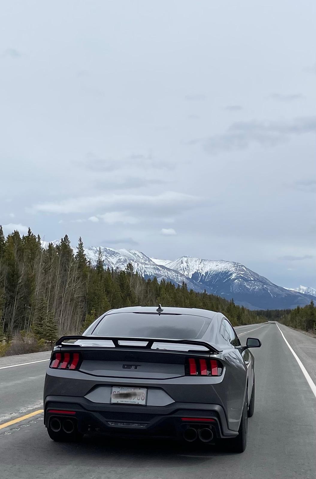 S650 Mustang New Member 1C5BA844-5E99-4301-AD07-A86D2F9AF153